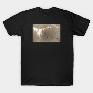 Slow Leaking Dark Green Concrete Water Tank T-Shirt